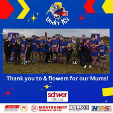 Image result for Newton - Le - Willows A R L F C