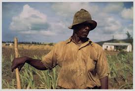 Résultat de recherche d'images pour "farm security administration photo"