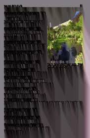 Attēlu rezultāti vaicājumam “Clossiana euphrosyne upperside”