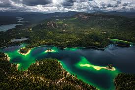 Attēlu rezultāti vaicājumam “Libanotis montana”