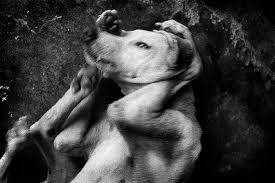 Image result for antoine d