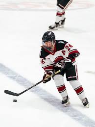 Image result for Ash Avalanche Skater Hockey Club