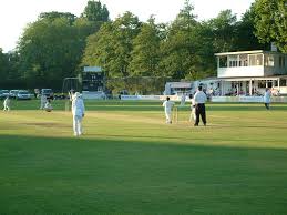 Image result for Torquay Cricket Club