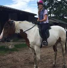 Image result for Palmers Riding Stables