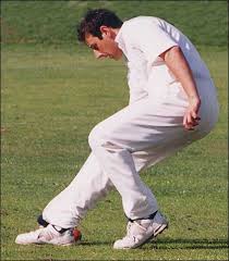 Image result for Wilmslow Wayfarers Cricket Club