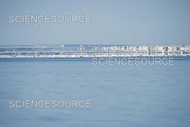 Attēlu rezultāti vaicājumam “fata morgana”