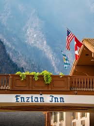 Image result for Enzian