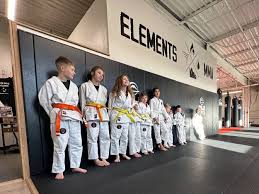 Image result for Full Element Mixed Martial Arts