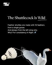 Image result for Shuttles Badminton Club (Frome)