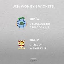 Image result for Lakenheath Cricket Club