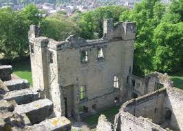 Image result for Ashby Castle Octopush Club