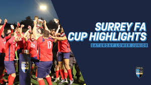 Image result for Bookham Football Club