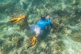 Image result for East Snorkellers