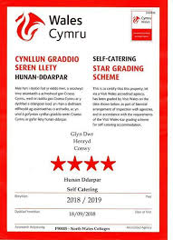 Image result for Seren Dwr