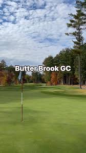 Image result for Boston West Golf Club
