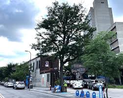 Image result for Gallows Corner Sports & Social Club