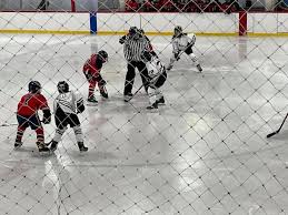 Image result for Rayleigh boys under 7's Leopards- need a Goalie!