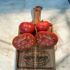 Afbeeldingsresultaat voor cabin tomato