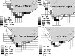 Image result for Raja straeleni