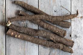 Image result for Schwarzwurzeln