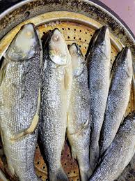 Image result for Chanos chanos