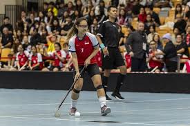 Image result for Basingstoke Demons Floorball Club