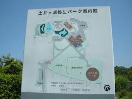 Image result for 土井ヶ浜遺跡　視線　故郷