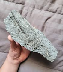 Attēlu rezultāti vaicājumam “Endoceras”