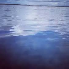 Image result for St. Albans Snorkelling Club (SASC)