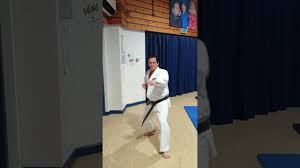 Image result for Sokudo Martial Arts Club