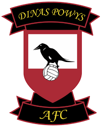 Image result for Dinas Powys Cricket Club