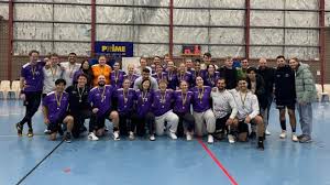 Image result for Southend handball club