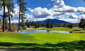 Image result for Avondale Gc
