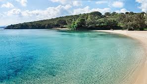 Image result for capo d'orso