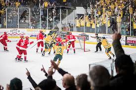 Image result for Ice Hockey International