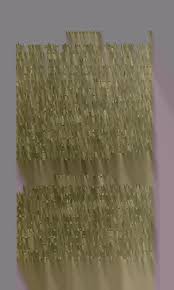 Attēlu rezultāti vaicājumam “Jungermannia hyalina cells”