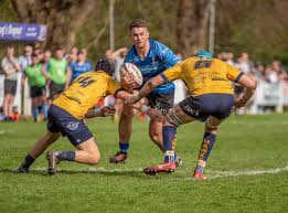 Image result for Henley Rugby Football Club