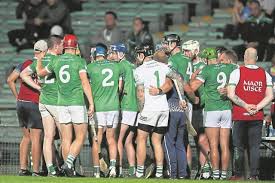 Image result for University Of Limerick Gaa Hurling Club