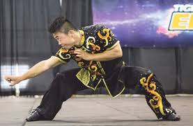 Image result for BARNET and WHETSTONE CHANGQUAN FLYING DRAGON