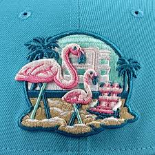 Image result for Flamingo Cricket Club