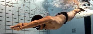 Image result for Swansea Finswimming Club