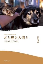 猫次郎o에 대한 이미지 검색결과