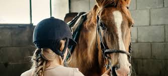 Image result for Huntingdon and District Riding Club