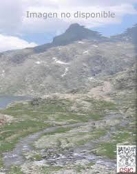 Attēlu rezultāti vaicājumam “Anomoporia bombycina”