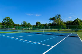 Image result for Mole Valley Mini Tennis Club