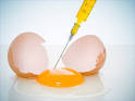 Molecular Gastronomy | The Science Informant