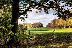 Image result for Romanby Golf Course