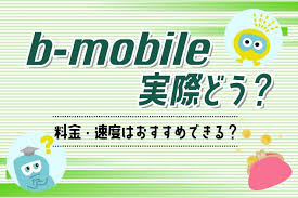 Image result for b-mobile sim
