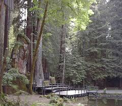 Image result for bohemian grove