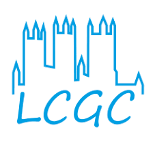 Image result for Lincoln Gymnastics Club